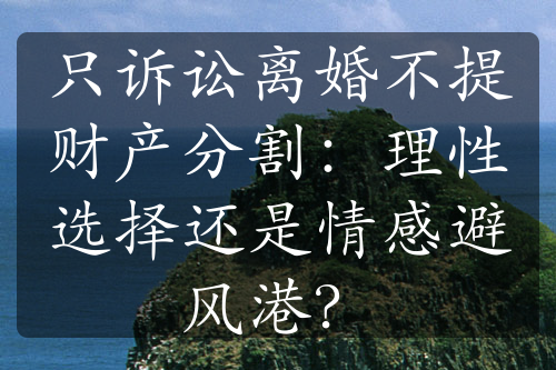 只诉讼离婚不提财产分割：理性选择还是情感避风港？