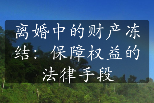 离婚中的财产冻结：保障权益的法律手段