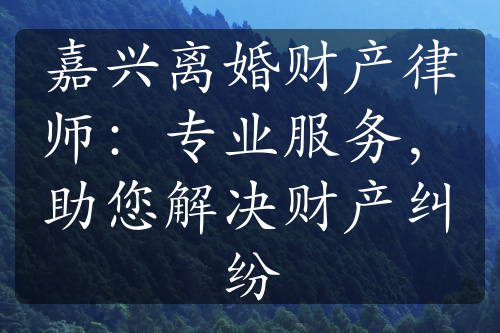 嘉兴离婚财产律师：专业服务，助您解决财产纠纷