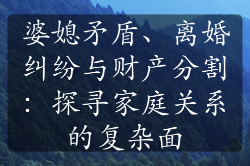 婆媳矛盾、离婚纠纷与财产分割：探寻家庭关系的复杂面