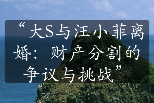 “大S与汪小菲离婚：财产分割的争议与挑战”