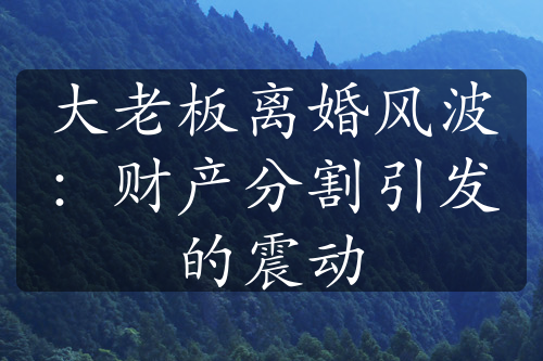 大老板离婚风波：财产分割引发的震动