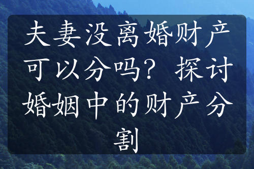 夫妻没离婚财产可以分吗？探讨婚姻中的财产分割