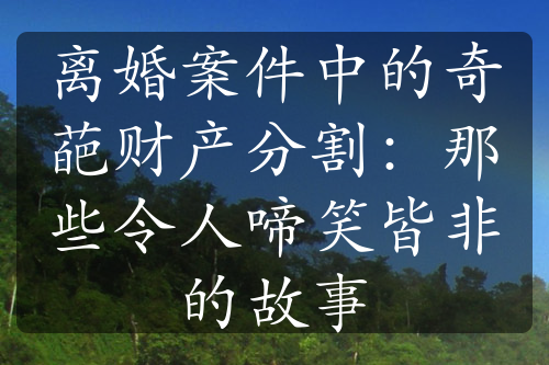 离婚案件中的奇葩财产分割：那些令人啼笑皆非的故事