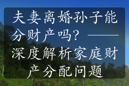 夫妻离婚孙子能分财产吗？——深度解析家庭财产分配问题