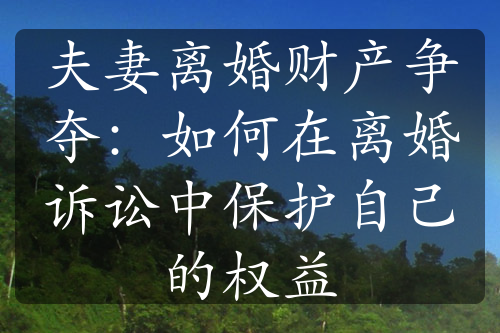 夫妻离婚财产争夺：如何在离婚诉讼中保护自己的权益