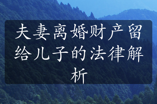 夫妻离婚财产留给儿子的法律解析