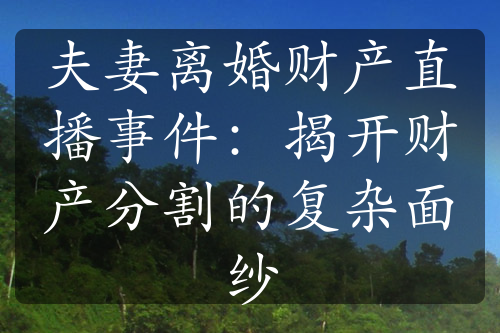 夫妻离婚财产直播事件：揭开财产分割的复杂面纱