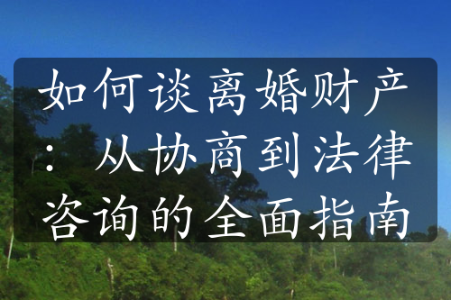 如何谈离婚财产：从协商到法律咨询的全面指南