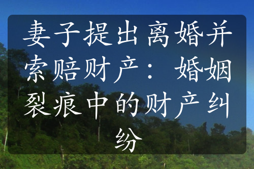 妻子提出离婚并索赔财产：婚姻裂痕中的财产纠纷