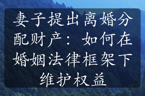 妻子提出离婚分配财产：如何在婚姻法律框架下维护权益