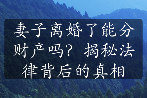 妻子离婚了能分财产吗？揭秘法律背后的真相