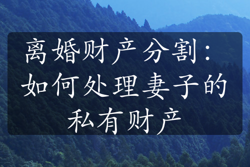 离婚财产分割：如何处理妻子的私有财产