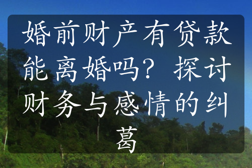 婚前财产有贷款能离婚吗？探讨财务与感情的纠葛