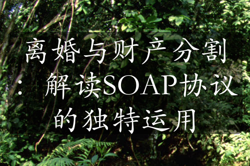 离婚与财产分割：解读SOAP协议的独特运用