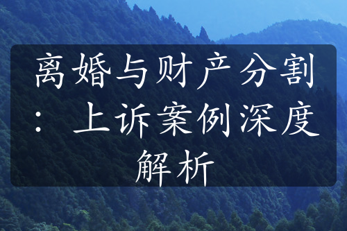 离婚与财产分割：上诉案例深度解析