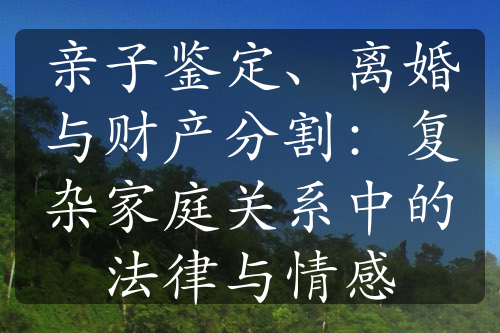 亲子鉴定、离婚与财产分割：复杂家庭关系中的法律与情感