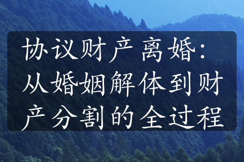 协议财产离婚：从婚姻解体到财产分割的全过程