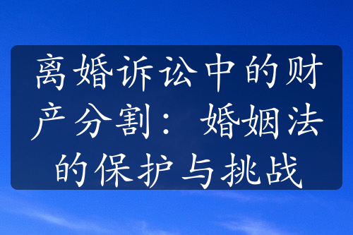 离婚诉讼中的财产分割：婚姻法的保护与挑战