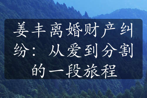 姜丰离婚财产纠纷：从爱到分割的一段旅程