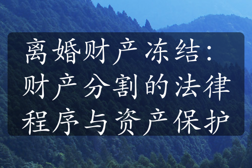 离婚财产冻结：财产分割的法律程序与资产保护