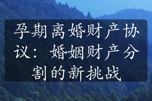 孕期离婚财产协议：婚姻财产分割的新挑战