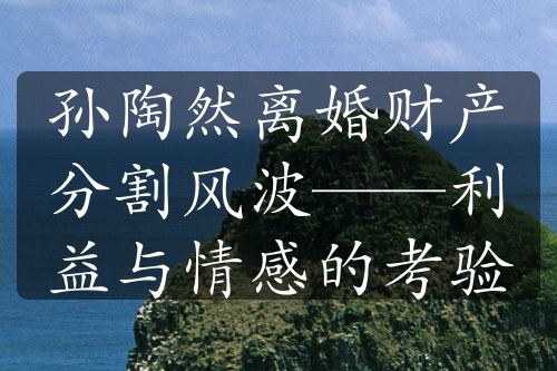 孙陶然离婚财产分割风波——利益与情感的考验