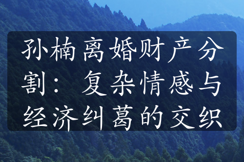 孙楠离婚财产分割：复杂情感与经济纠葛的交织