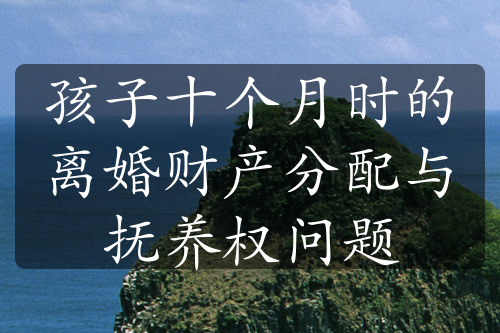 孩子十个月时的离婚财产分配与抚养权问题