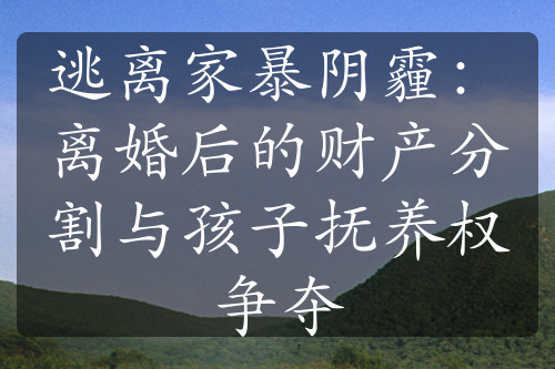 逃离家暴阴霾：离婚后的财产分割与孩子抚养权争夺