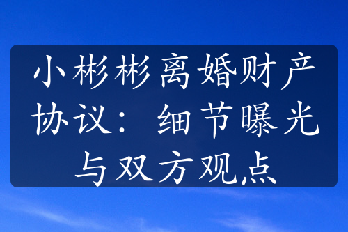 小彬彬离婚财产协议：细节曝光与双方观点