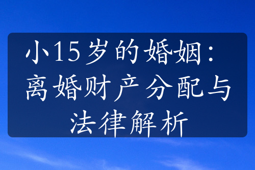 小15岁的婚姻：离婚财产分配与法律解析