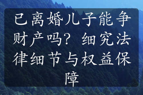 已离婚儿子能争财产吗？细究法律细节与权益保障