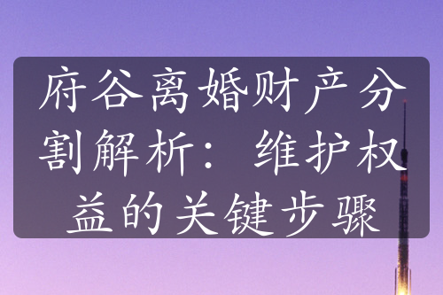 府谷离婚财产分割解析：维护权益的关键步骤