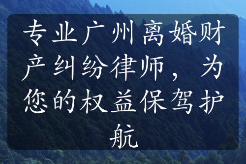 专业广州离婚财产纠纷律师，为您的权益保驾护航