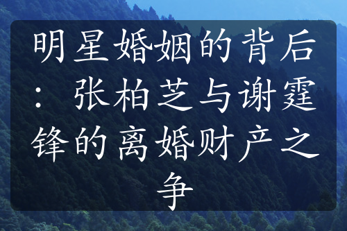 明星婚姻的背后：张柏芝与谢霆锋的离婚财产之争