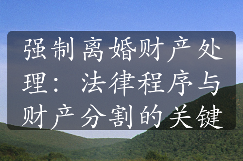 强制离婚财产处理：法律程序与财产分割的关键