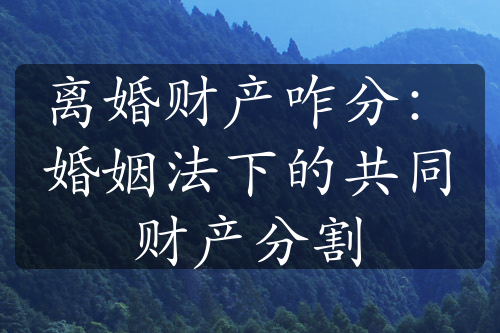 离婚财产咋分：婚姻法下的共同财产分割