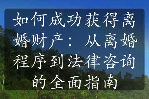 如何成功获得离婚财产：从离婚程序到法律咨询的全面指南