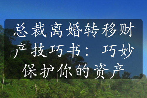 总裁离婚转移财产技巧书：巧妙保护你的资产