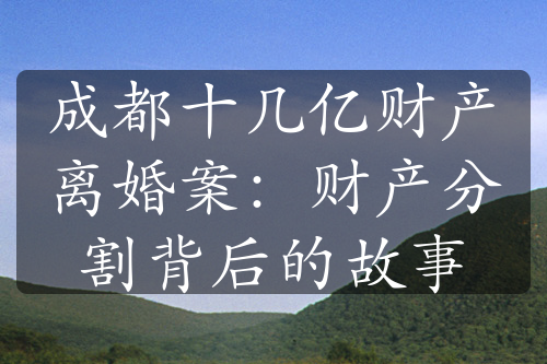 成都十几亿财产离婚案：财产分割背后的故事