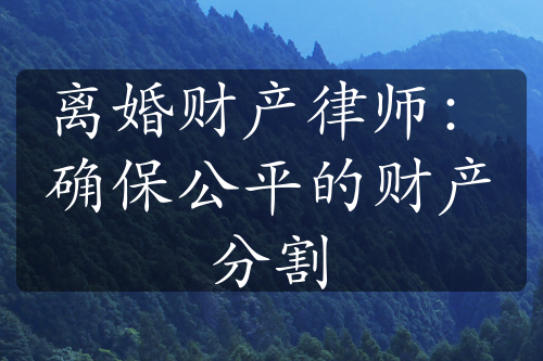 离婚财产律师：确保公平的财产分割