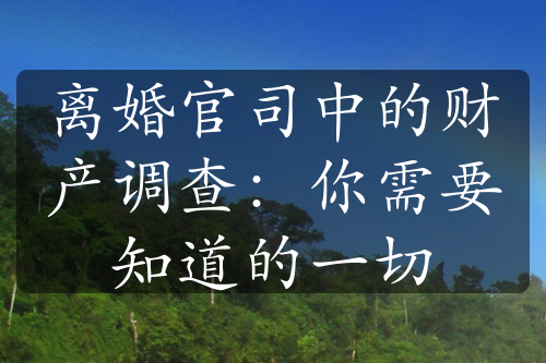 离婚官司中的财产调查：你需要知道的一切