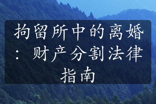 拘留所中的离婚：财产分割法律指南