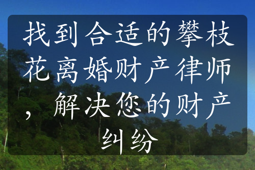 找到合适的攀枝花离婚财产律师，解决您的财产纠纷