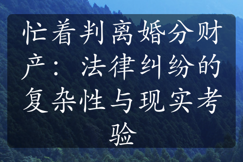 忙着判离婚分财产：法律纠纷的复杂性与现实考验