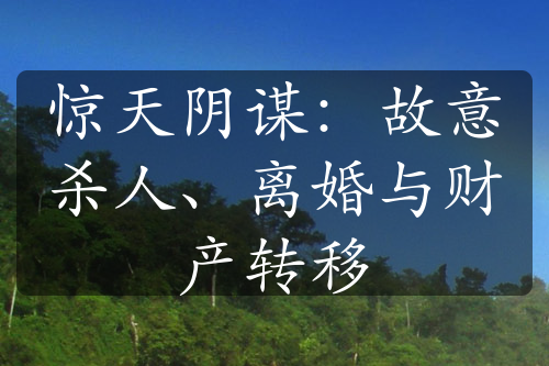 惊天阴谋：故意杀人、离婚与财产转移