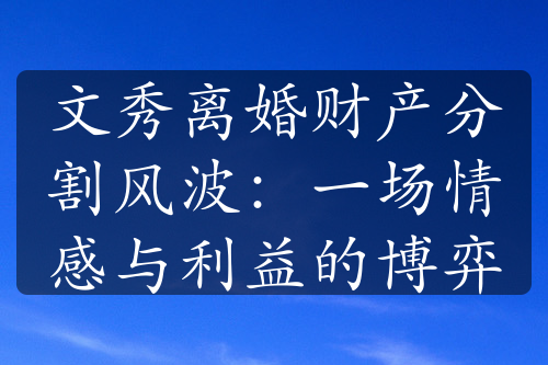 文秀离婚财产分割风波：一场情感与利益的博弈