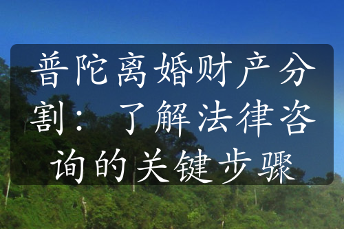 普陀离婚财产分割：了解法律咨询的关键步骤