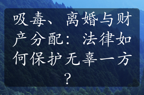 吸毒、离婚与财产分配：法律如何保护无辜一方？